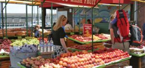 Fresh peaches and fruit at Vlahos Fruit Orchard