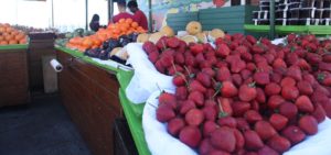 Fresh strawberries at Vlahos Fruit Orchard